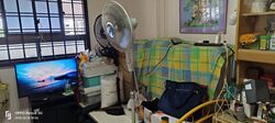 Blk 250 Tampines Street 21 (Tampines), HDB 4 Rooms #571376951